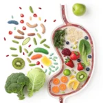Gut microbiota weight loss illustration showing healthy bacteria and nutrition