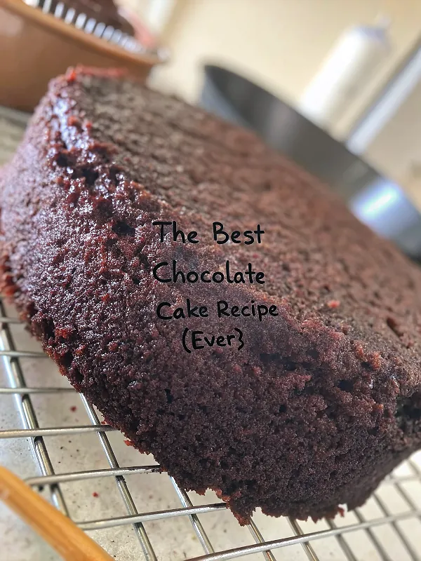 THE BEST CHOCOLATE CAKE RECIPE {EVER}